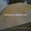 Egypt market required 1.7mm birch faced poplar core plywood